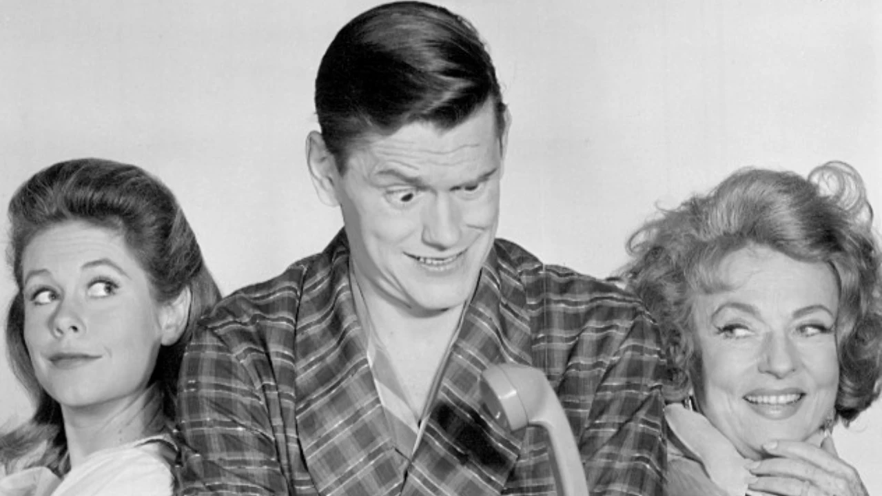 Bewitched: Nose Twitches and Neighbor Trouble